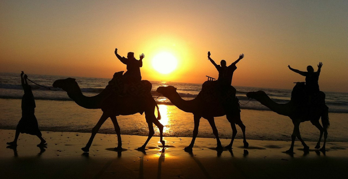 camel ride Surf Journey Morocco