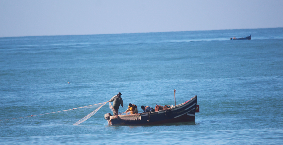 Surf Journey Morocco