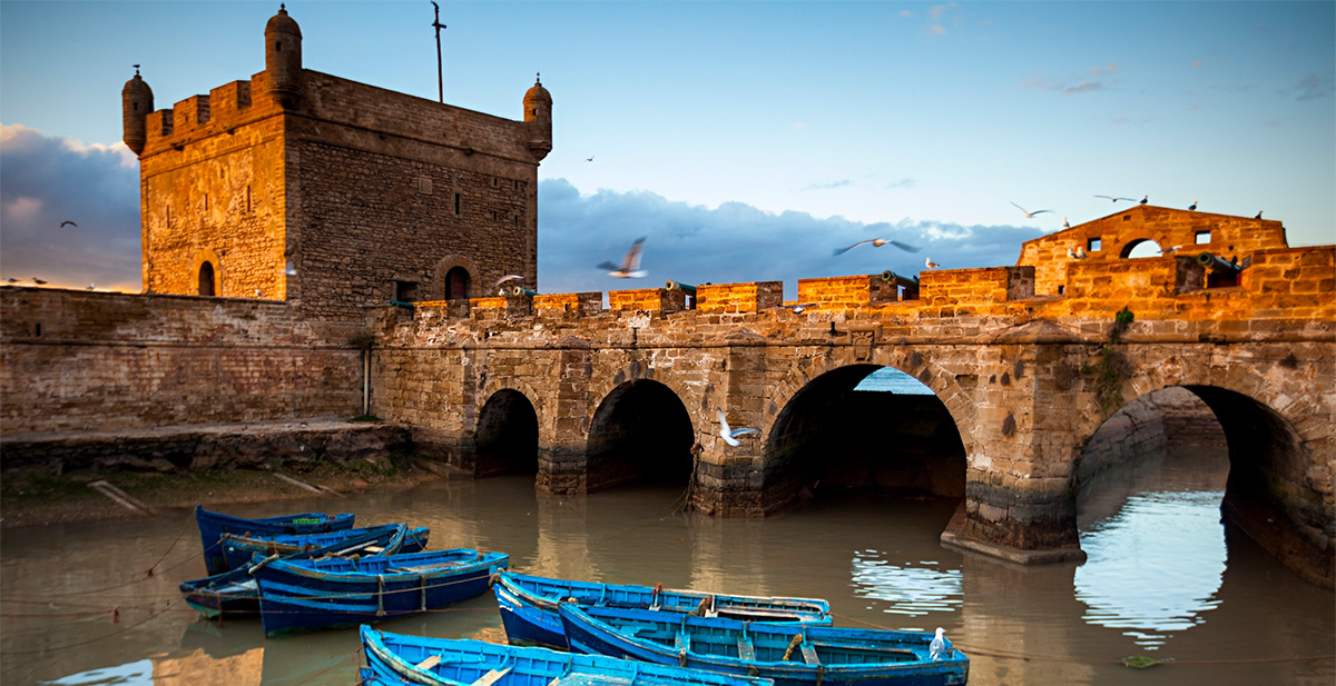 visit essaouira surf journey