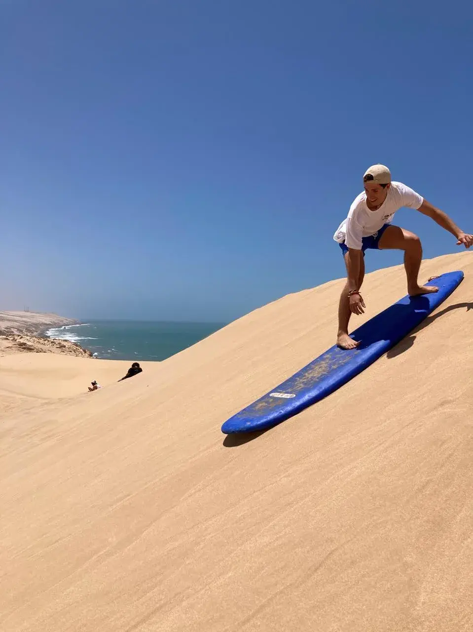 A person riding a blue sandboard down a golden dune with the coast beyond